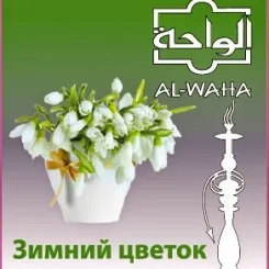 Winter Flower