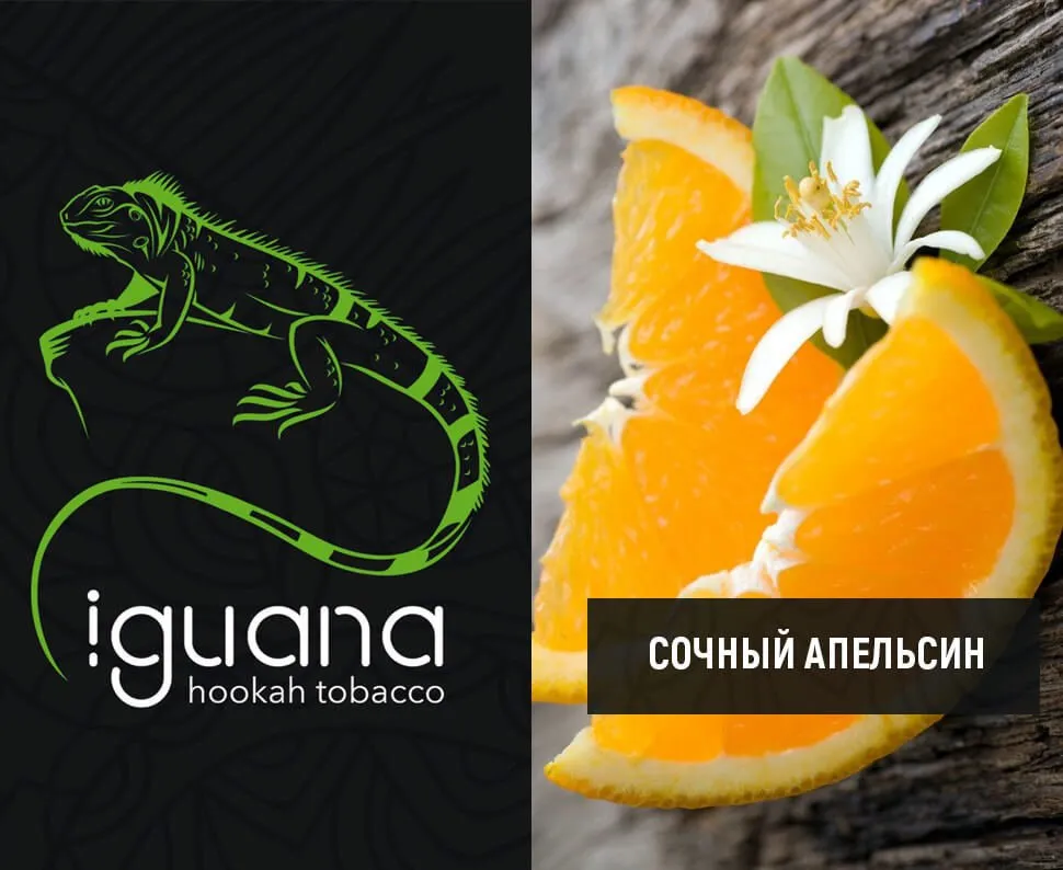Сочный апельсин