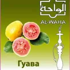 Guava