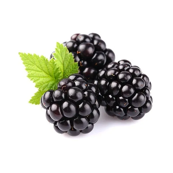 Ice Blackberry