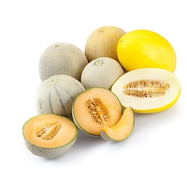 Melon