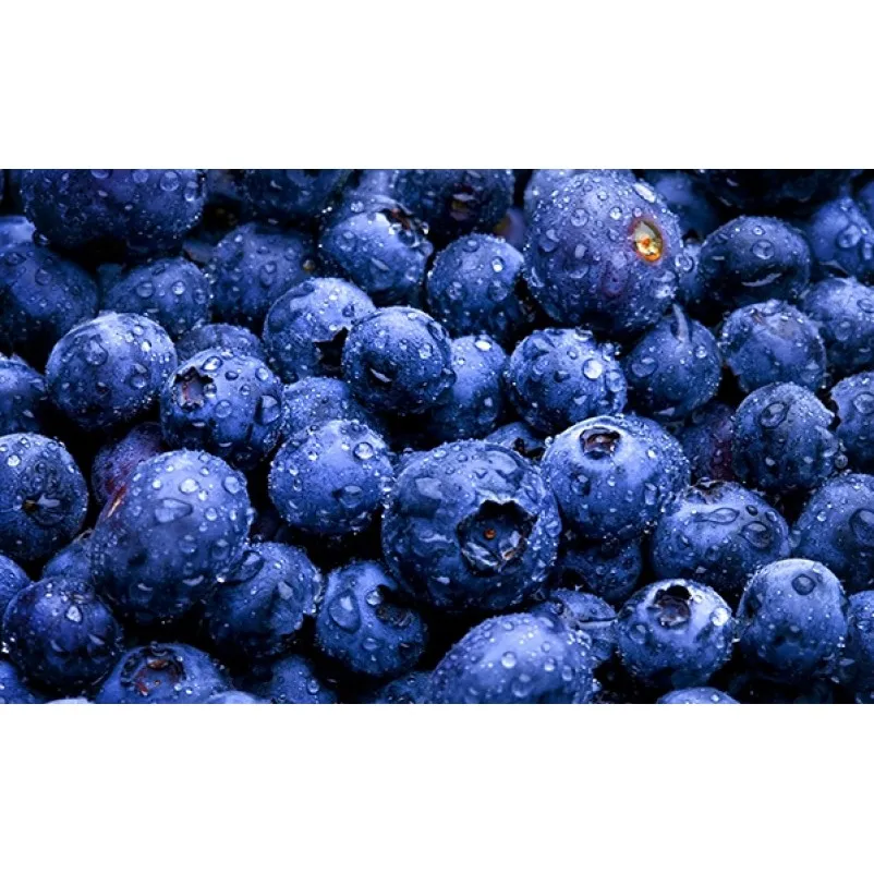 Blueberry Splash