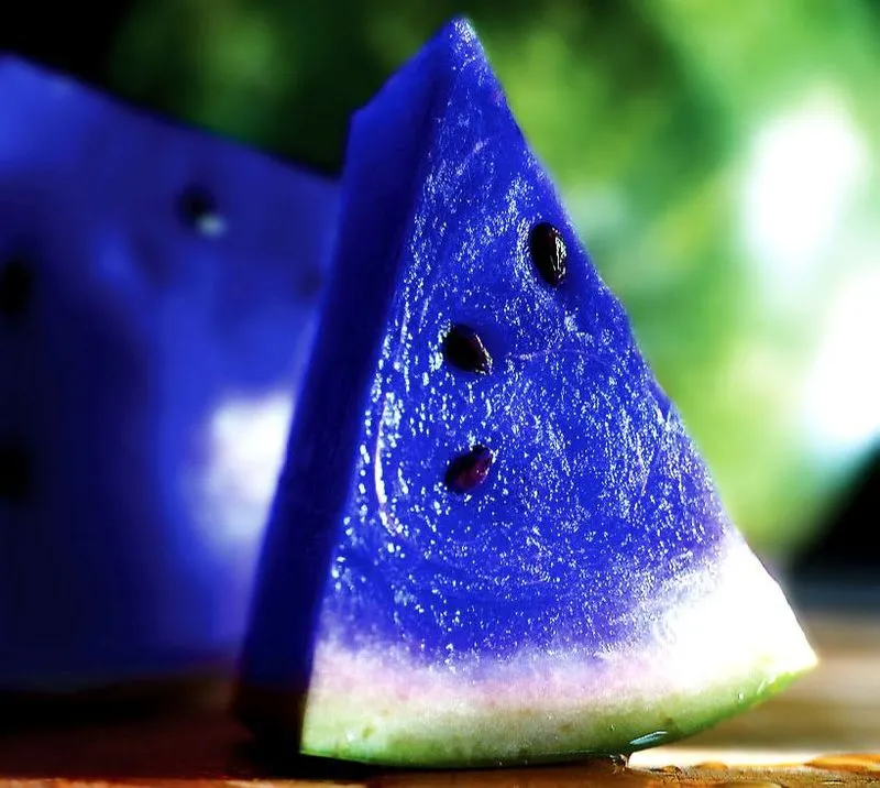 Blue Watermelon
