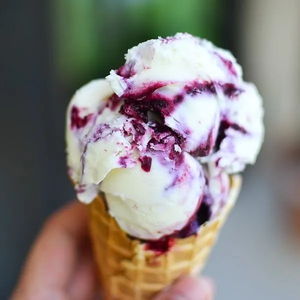 Blueberry Vanilla Ice Cream