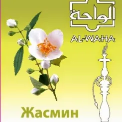 Jasmine