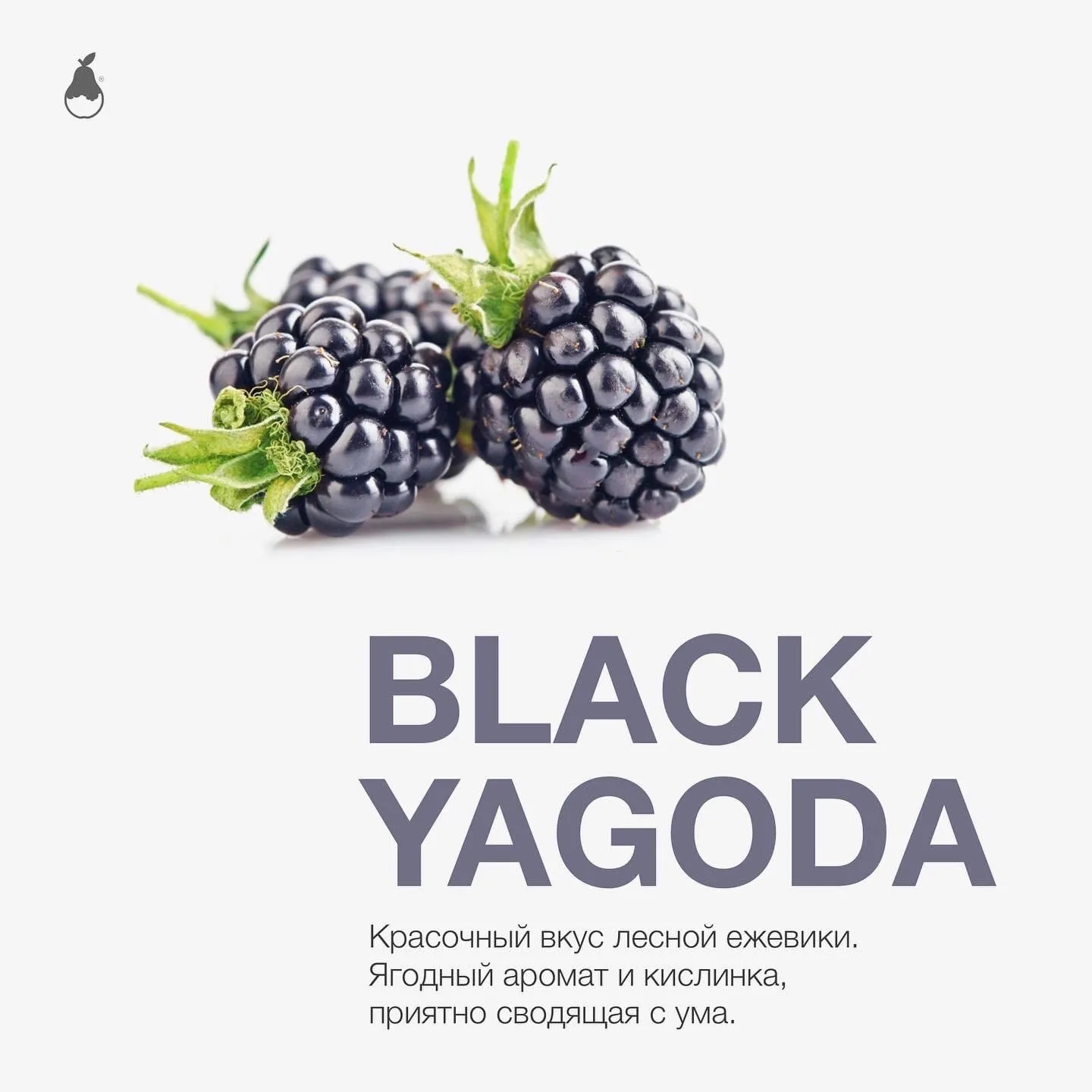 Вкус Black Yagoda табака Mattpear | Отзывы, рейтинг вкусов, крепость.