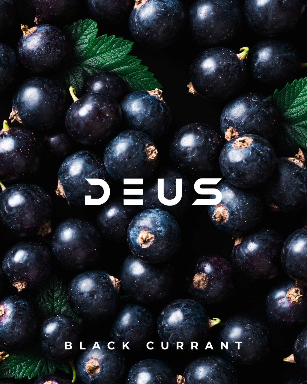 Black Currant
