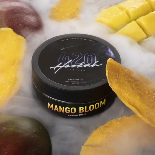 Mango Bloom