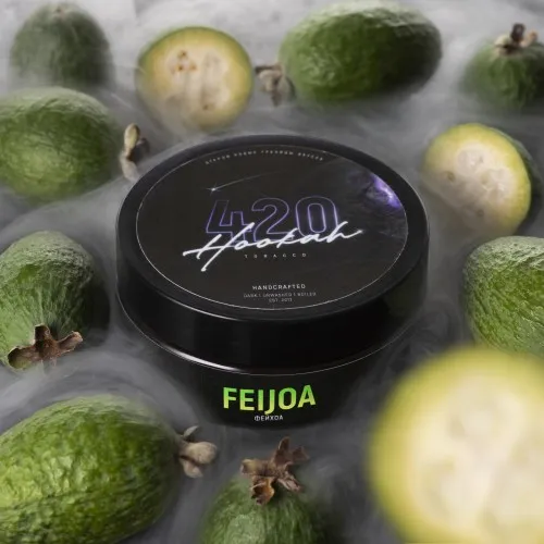 Feijoa