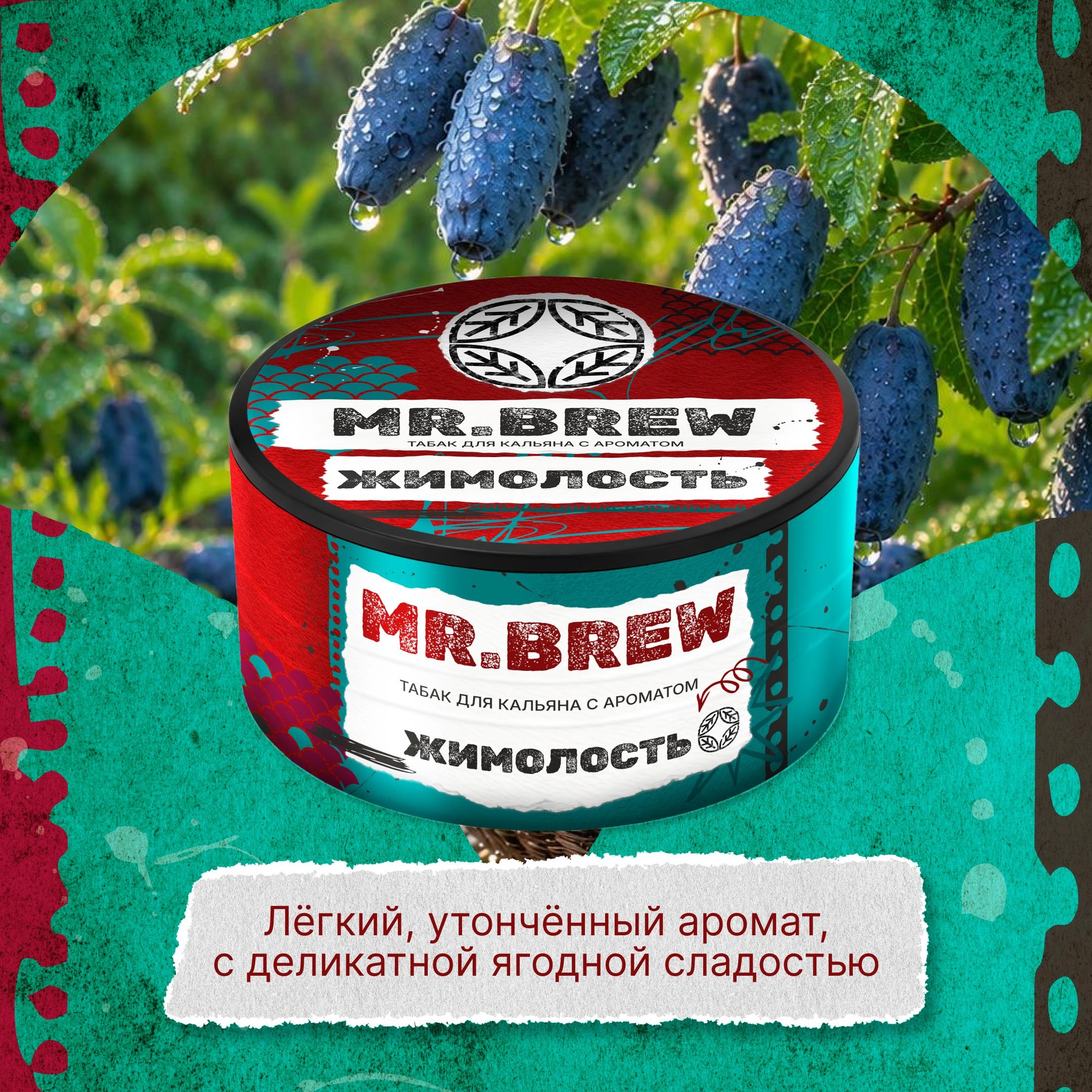 Жимолость