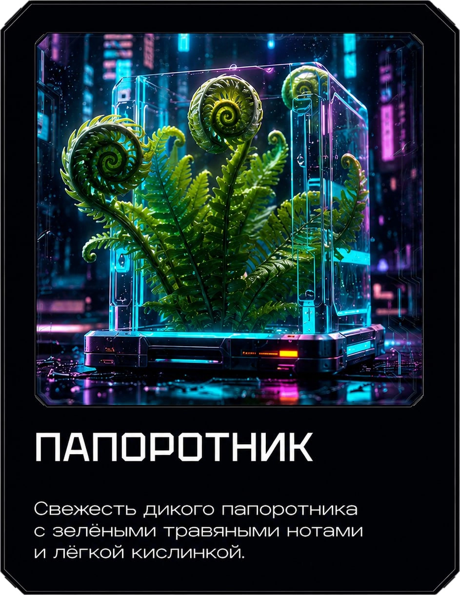 Папоротник