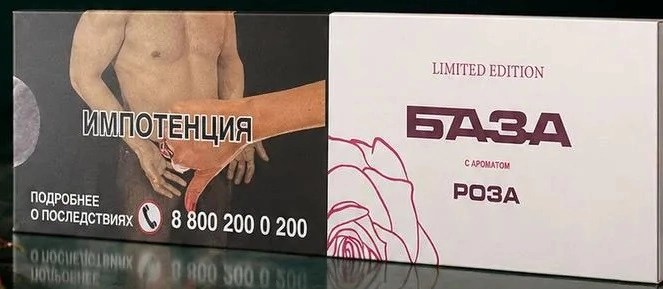 Роза